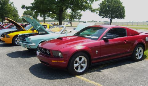 2007 Ford Mustang - A line of Ford Mustangs are parked outside on a sunny day, with several having their hoods open.