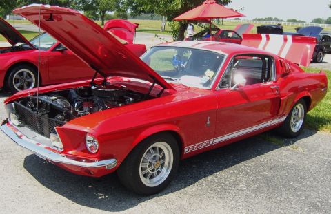 2007 Ford Mustang - A classic red Mustang GT350 is displayed with its hood open, parked next to another red Mustang.