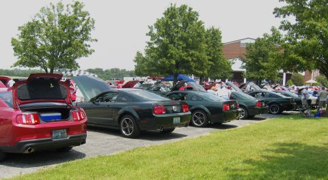 2007 Ford Mustang - A row of Ford Mustangs, likely from the 2005-2014 generation, are displayed at an outdoor event.