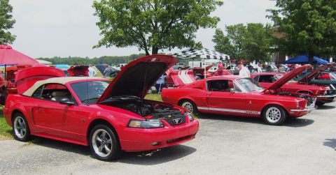 2007 Ford Mustang - Two red Ford Mustangs, a classic coupe and a convertible, displayed at an outdoor car show.