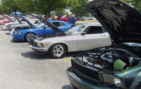 2007 Ford Mustang - A line of Ford Mustangs are displayed with their hoods open, their engines.