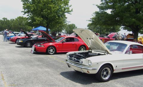 2007 Ford Mustang - A white 1965 Ford Mustang coupe is displayed with its hood open at a car show alongside other Mustangs.