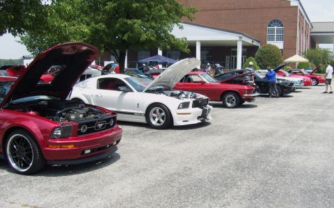 2007 Ford Mustang - Several Ford Mustangs are displayed with their hoods open at an outdoor car show.