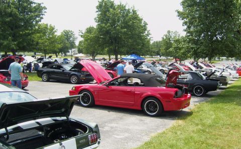 2007 Ford Mustang - Multiple Ford Mustangs are displayed with their hoods open at an outdoor event.
