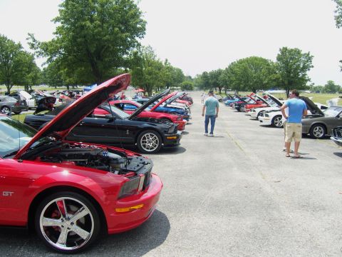 2007 Ford Mustang - A line of Ford Mustangs are displayed with their hoods open at an outdoor car show.