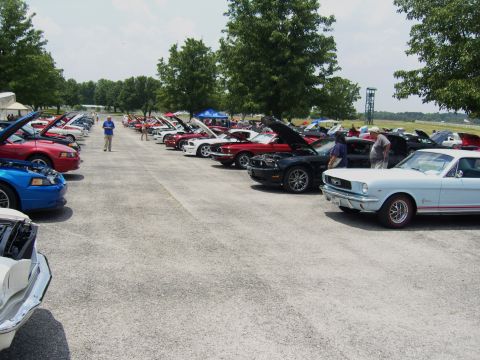 2007 Ford Mustang - A light blue 1965 Ford Mustang is parked at a car show, with many other Mustangs lined up.
