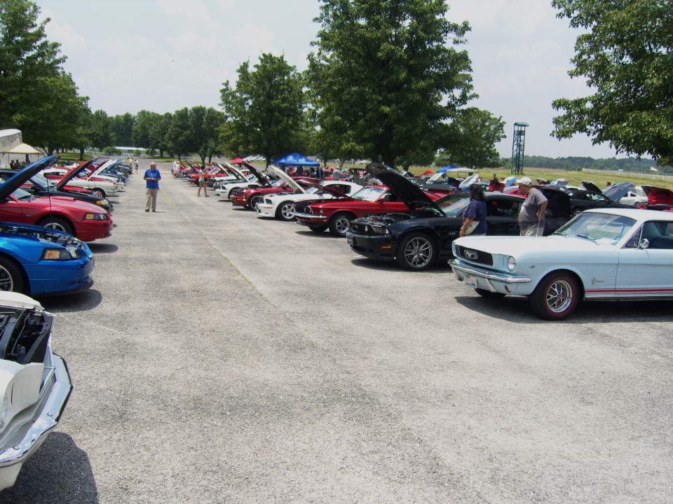 Light blue 1965 Mustang front view, parked in a lot with other Mustangs