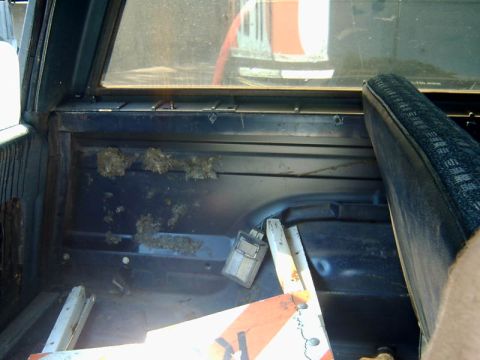 1982 Ford Bronco - another
