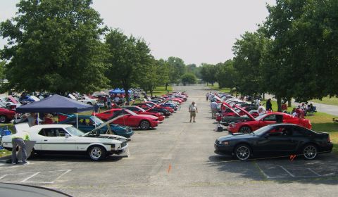 2007 Ford Mustang - Many Ford Mustangs are gathered at an outdoor event, with several owners showing off their engines.