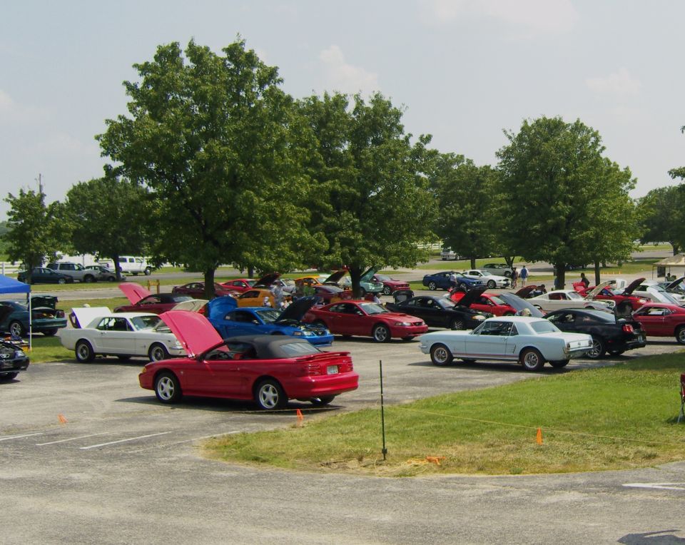 Cars parked in an outdoor lot with trees and a blue tent. Some car hoods are open