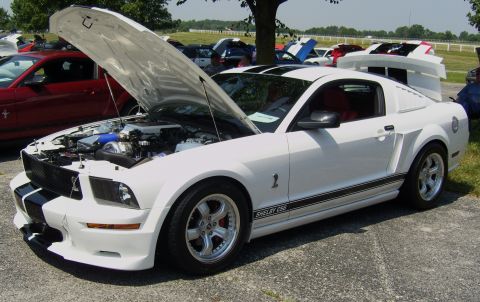 2007 Ford Mustang - A white 2007 Ford Mustang Shelby GT500 is displayed with its hood open, revealing the engine bay.