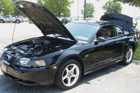 2007 Ford Mustang - A black 2007 Ford Mustang GT is shown with its hood and trunk open, revealing the engine and interior.
