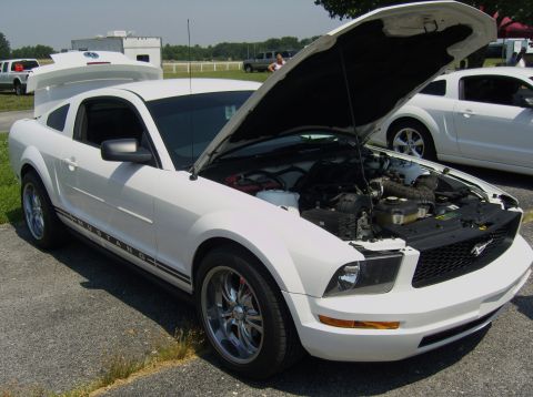 2007 Ford Mustang - White Ford Mustang with hood open, parked next to another Mustang.