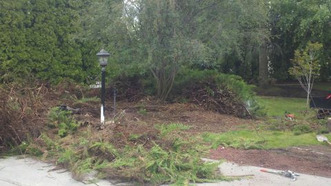 1978 Ford Mustang II - A yard is covered in branches and debris, with a lamp post standing amidst the mess.