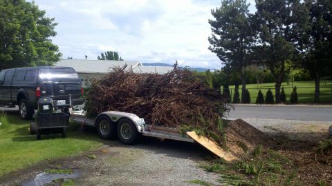 1978 Ford Mustang II - SUV and trailer loaded with branches, likely after yard cleanup.