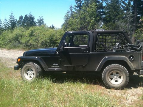 2005 Jeep Wrangler - A black Jeep Wrangler Unlimited is seen from the side, parked in a grassy, wooded area.