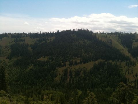 2005 Jeep Wrangler - A scenic view of a forested mountain range under a partly cloudy sky.