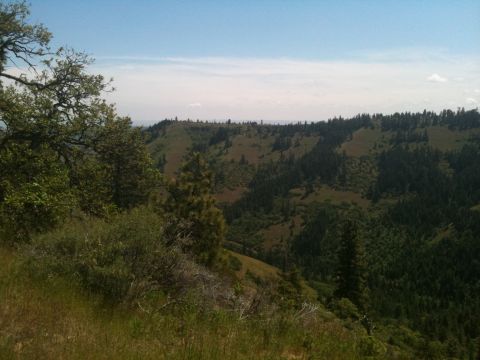 2005 Jeep Wrangler - A view of rolling hills and dense forest under a partly cloudy sky.