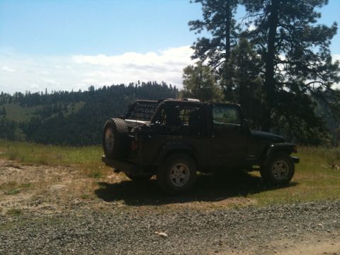 2005 Jeep Wrangler - A black Jeep Wrangler is parked on a hillside overlooking a forest on a sunny day.