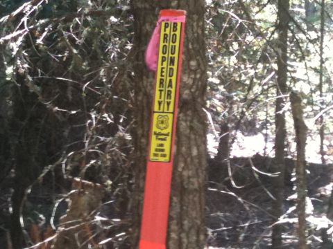 2005 Jeep Wrangler - A property boundary marker is visible in a wooded area.