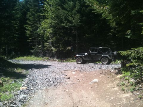 2005 Jeep Wrangler - A black Jeep Wrangler is parked on a gravel road surrounded by tall evergreen trees.