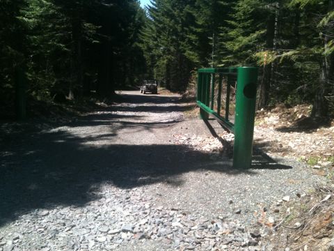 2005 Jeep Wrangler - A 2005 Jeep Wrangler drives down a wooded dirt road past a green gate.
