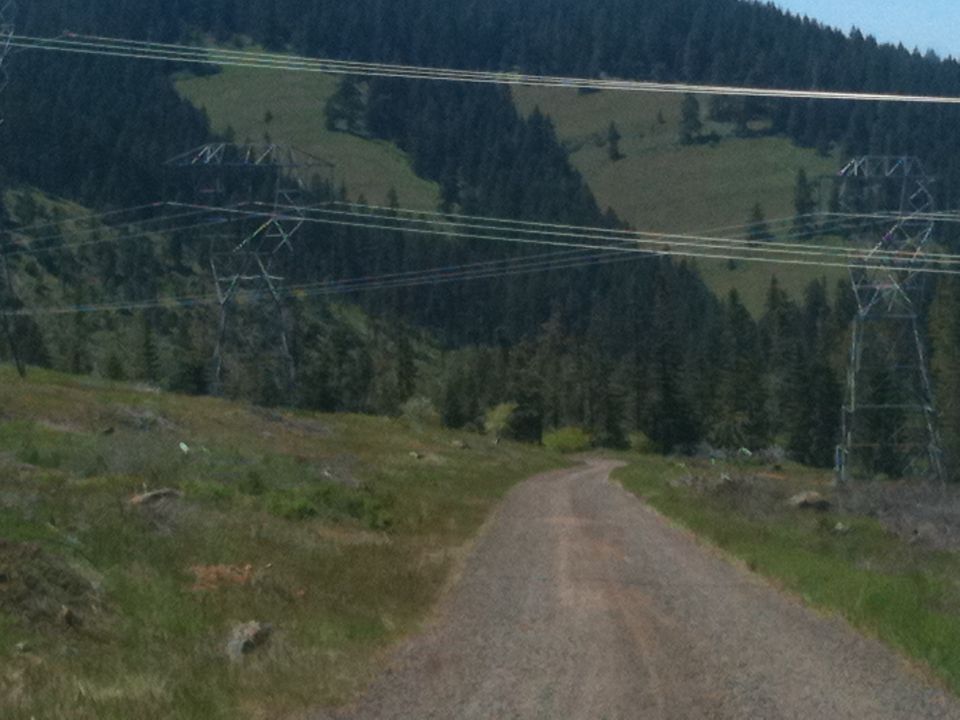Gravel road leads through a grassy, hilly area with tall power line towers and dense trees