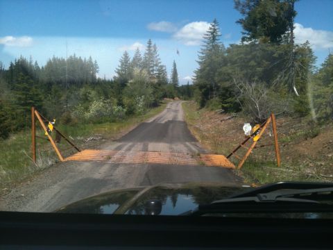 2005 Jeep Wrangler - View from inside a vehicle as it approaches a cattle guard on a dirt road surrounded by trees.