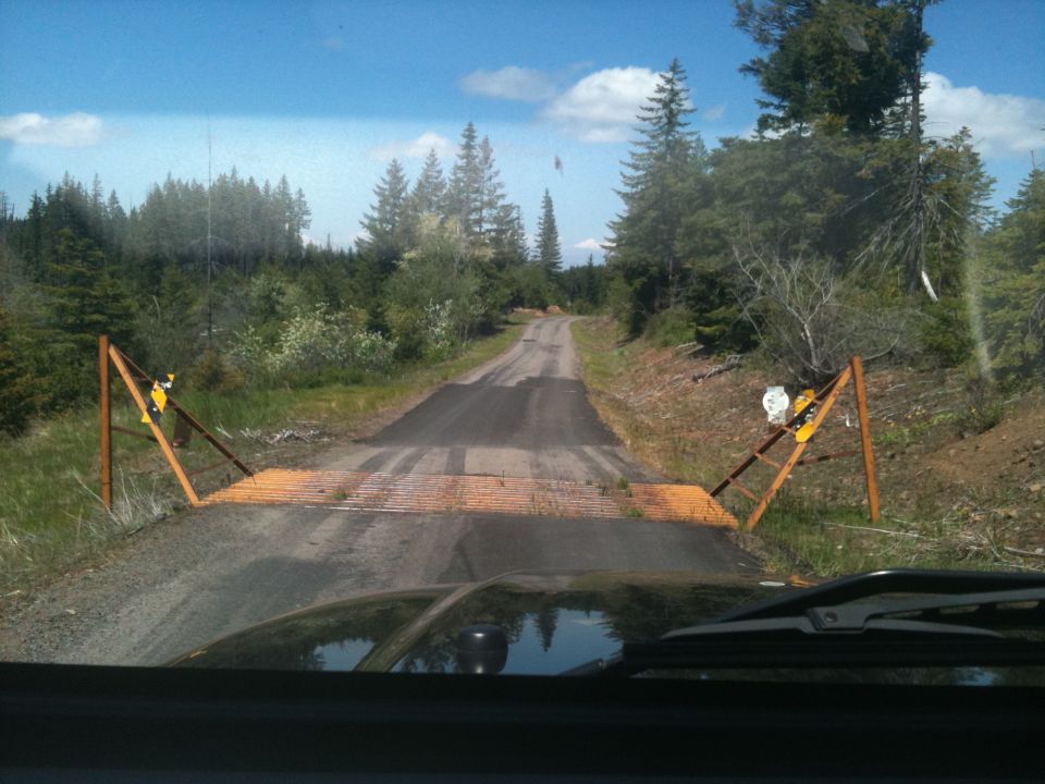 Interior view of vehicle dashboard and windshield looking out at a dirt road with a cattle guard and trees