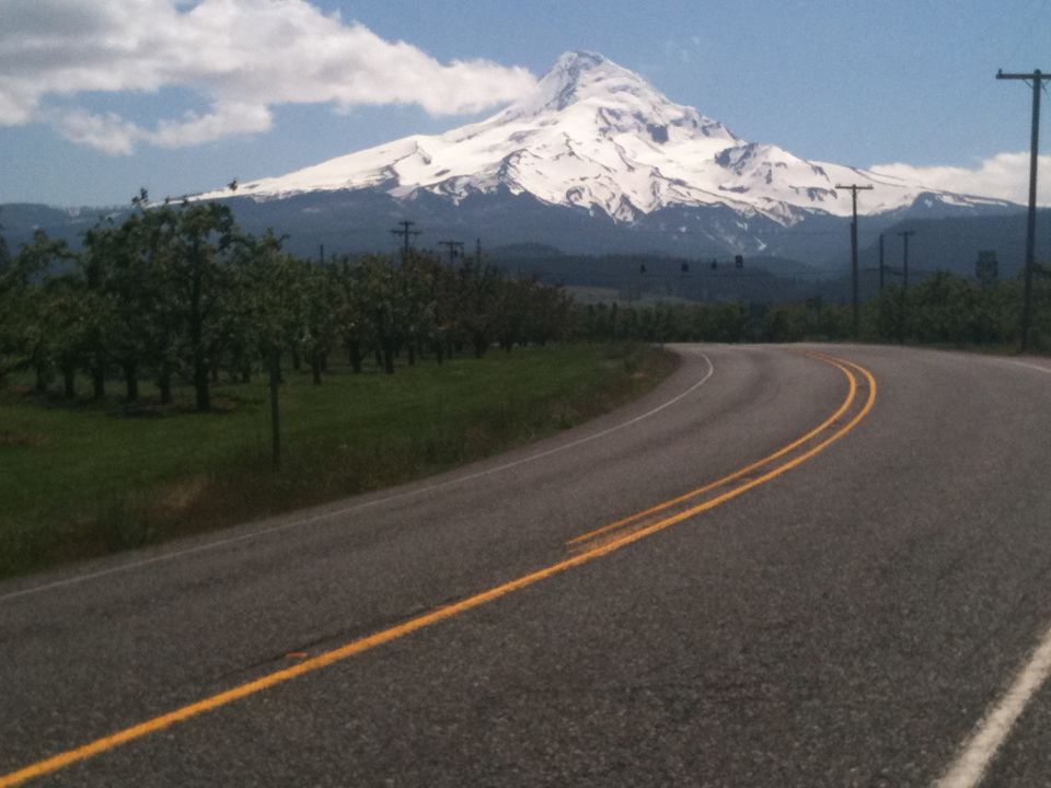 Winding road curves past an orchard with a snow-capped mountain in the background