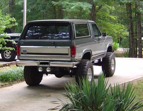 Spare Tire Carrier - 1986 Ford Bronco