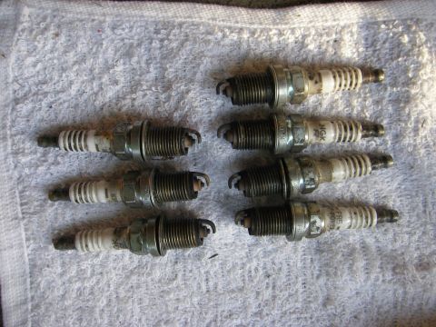 1990 Ford Bronco - A collection of used spark plugs, some showing the NGK brand, are arranged on a white towel.