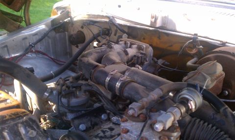 1978 Ford Bronco - Close-up view of the engine compartment, showing various hoses, wires, and engine components.