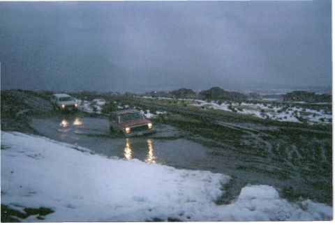 1984 Ford Bronco photo