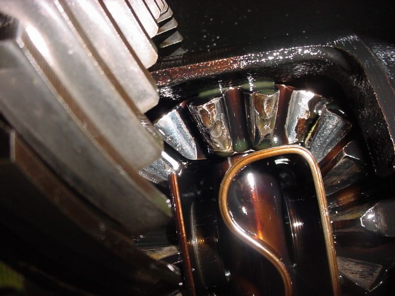 Close-up of oily differential internals showing spider gear teeth meshing with ring gear