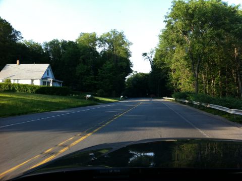 1999 Ford Crown Victoria - Driving down a tree-lined road past a house on a sunny day.
