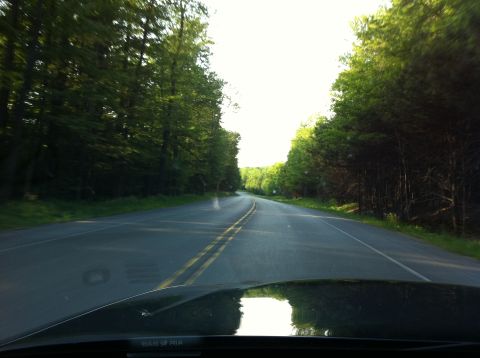 1999 Ford Crown Victoria - A view from the driver's seat looking down a tree-lined road on a sunny day.