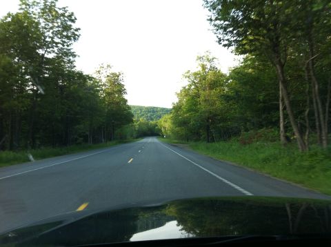 1999 Ford Crown Victoria - View from inside a vehicle driving on a tree-lined road.