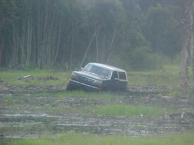 Dark Ford Bronco SUV mired deep in mud in a grassy bog with trees behind