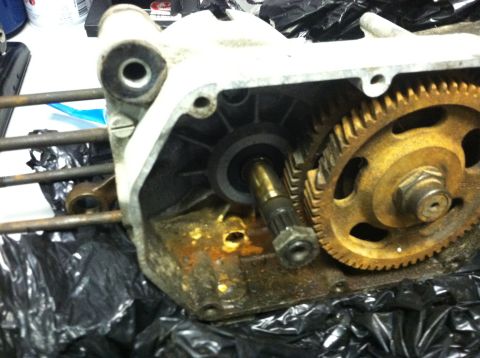 1981 Garelli Rally Sport - Internal view of a motorcycle engine case showing gears and internal components.