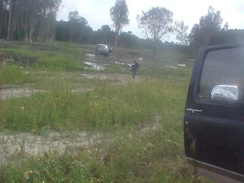 1996 Ford Bronco - Two SUVs are parked in a wet, grassy field with trees in the distance.