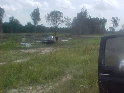 1996 Ford Bronco photo