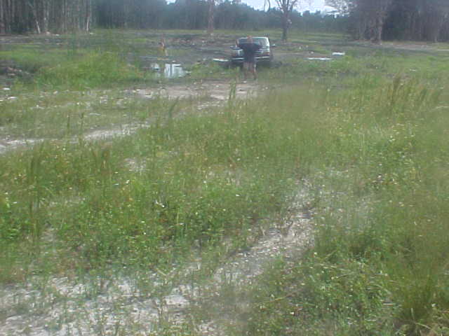 Dark 4x4 parked at treeline across a grassy mud-flat riding area with rutted water