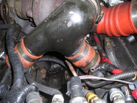 1997 Ford F-250 - Close-up view of engine hoses and wiring, showing various components and connections.