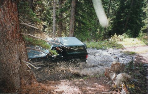 1990 Ford Bronco - woods