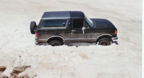 1990 Ford Bronco - it took 7 hours, three sunburns, an unholy amount of work, and a winch to get out of this mess