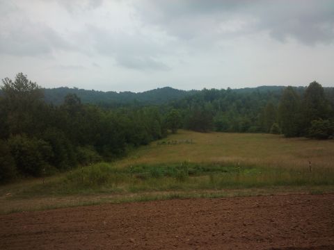 1989 Ford Bronco - A wide view of a rural landscape rolling hills, dense trees, and a field under an overcast sky.