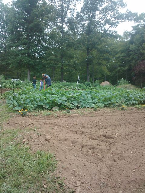 1989 Ford Bronco - A white SUV is visible in the background of a garden scene with people working.