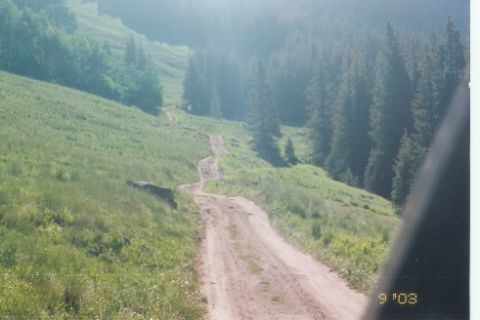 1990 Ford Bronco - Long road ahead