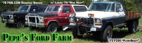 1989 Ford Bronco - A lineup of Ford trucks, including a '73 F250 flatbed with a plow, and two other trucks, one red and one black.